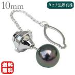 ネクタイピン ピン タイピン タイタック パールタイピン 真珠 ブラックパール 黒真珠 黒蝶真珠 プラチナ メンズ 送料無料 プレゼント ギフト 自分買い pu