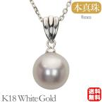 真珠 パール ペンダントトップ k18 ホワイトゴールド ペンダントヘッド ユニセックス 送料無料 カジュアル 人気 プレゼント ギフト ご褒美 自分買い pu