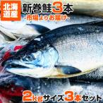 新巻鮭 北海道産 2kg 3尾セット | 塩漬け 塩鮭 塩引き鮭 鮭 新巻 秋鮭 しゃけ サケ さけ 産地直送 辛い鮭 しょっぱい鮭 敬老の日 敬老