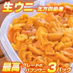  сырой ..100g ×3 север person 4 остров производство морской еж hemicentrotus .... море каштан соль вода соль вода морской еж сырой .. рефрижератор .... фарфоровая пиала для бизнеса День почитания пожилых людей .. праздник . лет . подарок по случаю конца года 