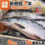 新巻鮭 2kg 1尾 送料0円 塩鮭 姿 鮭 北海道産 秋鮭 一本もの シャケ しゃけ サケ さけ 贈答 ちゃんちゃん焼き お祝い 父の日 中元 お中元