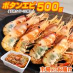 子持ち ボタンエビ 500ｇ 9-12尾前後 ぼたんえび 北海道 海老 ぼたん海老 えび エビ 刺身 お造り 生冷凍 贈り物 中元 お中元 お盆休み