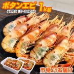 子持ち ボタンエビ 1kg 18-24尾前後 北海道 海老 ぼたんえび エビ 大きいエビ お造り お刺身 えび 中元 お中元 御中元 お盆休み