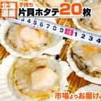 片貝ホタテ 20枚 9〜10cmサイズ 北海道産 | ほたて 帆立 片貝 片貝帆立 ホタテ貝 ほたて貝 帆立貝 敬老の日 収穫祭 歳暮 御歳暮 お歳暮