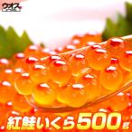 最安値挑戦！ いくら 醤油漬け 500g 粒は小さいけど味は抜群！ 紅鮭 イクラ 贈答 醤油いくら いくら醤油漬け いくら丼 母の日 父の日