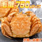  четырёхугольный волосатый краб 750g передний и задний (до и после) × 1 хвост шерсть . очень большой Boyle o сигнал tsuk море . очень большой шерсть . краб miso краб miso краб miso День почитания пожилых людей .. праздник лет .. лет . подарок по случаю конца года 