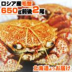  четырёхугольный волосатый краб 650g передний и задний (до и после) × 2 хвост [ закончился последовательность конец ] шерсть . шерсть ... Boyle . Boyle шерсть . краб краб . День почитания пожилых людей .. праздник лет .. лет . подарок по случаю конца года 