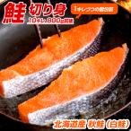 北海道産 鮭 切身 10キレ 送料0円 | 