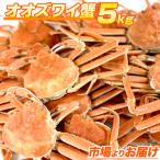 生冷凍 オオズワイガニ 5kg ダシ用 ずわいがに ズワイガニ 姿 北海道産 ずわい蟹 カニ食べ放題 中元 お中元 御中元 お盆 盆