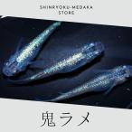 鬼ラメ メダカ 成魚 5ペア 10匹+α