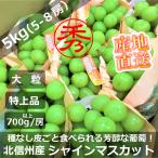  Nagano префектура север Shinshu прямая поставка от производителя автомобиль in мускат большой . превосходящий товар 5-8.5kg коробка ограниченная продажа [ бесплатная доставка ]