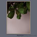 PAPER COLLECTIVE　GREEN LEAVES/グリーンリーブス 07120　50x70cm ペーパーコレクティブ/Norm Architects/ノームアーキテクツ/ポスター/葉/北欧/インテリア