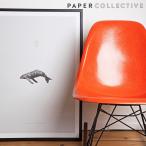 PAPER COLLECTIVE/ペーパーコレクティブ　ポスター:WHALE REPRISE/クジラ 50x70cm