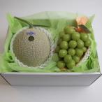  фрукты подарок Nagoya. фрукты специализированный магазин новый Ёнэдзава магазин тщательно отобранный маска дыня . автомобиль in мускат подарок подарок ... видеть Mai. . соответствует .... соответствует бесплатная доставка 