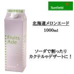 北海道メロンエード 1L