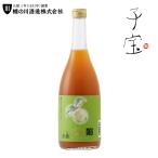 楯の川酒造 子宝 プレミアムリッチ梅酒 720ml