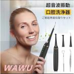 IPX6防水 歯石取り 超音波 超音波スケーラー 歯用ツール 電動 歯クリーナー 歯石歯垢とり 器具 自分で 電動歯ブラシ 口腔洗浄器 充電式