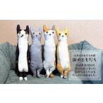  актинидия kelikeli кошка. ....[ включение в покупку A]