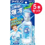 『5本セット』熱中症対策 瞬間冷却 携帯用 白元アース アイスノン 瞬間爆冷スプレー ミントの香り 70mL 送料無料