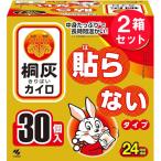 ショッピングカイロ 『2箱セット』カイロ 貼らない 桐灰 小林製薬 桐灰カイロ 貼らないタイプ 30個入 送料無料