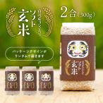 無洗米玄米 米 2合 300g 