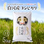 米 お米 5kg 白 白河産コシヒカリ 令和7年度 送料無料 福島県産 5キロ 白米 精米