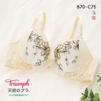 トリンプ Triumph TR554 天使のブラ スリムライン ブラジャー BC 単品