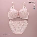 ショッピングD90 グラマーサイズブラセット プチフラワー刺繍 DEFG75-90 ブラジャー ショーツ セット 脇高 脇肉 大きいサイズ お得 上下