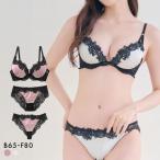 サテンケミカルレース ブラジャー ショーツ セット Tバック 3点セット BCDEF 大きいサイズ バックレース