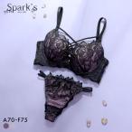 スパークス ノワールローズ ブラジャー Tバックショーツ セット 脇高 谷間 ABCDEF バックレース SPARKS 大きいサイズ 爆買