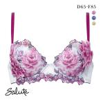 ワコール サルート 21グループ 21G P-UP ブラジャー プッシュアップ DEF 大きいサイズ 谷間 Wacoal Salute BTJ421 25AW先行コア