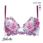 ワコール サルート 21グループ 21G P-UP ブラジャー プッシュアップ GHI 大きいサイズ 谷間 Wacoal Salute BTJ421 25AW先行コア
