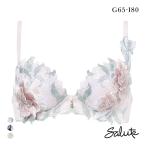 ワコール サルート 22グループ 22G P-UP ブラジャー GHI プッシュアップ 谷間 Wacoal Salute BTJ422 25AW先行プレステージ
