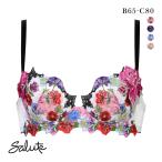ワコール サルート 60グループ 60G P-UP ブラジャー プッシュアップ BC 谷間 Wacoal Salute BTJ460 24AWシーズン