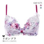 ワコール BXB490 リボンブラ 胸もとフィットながもち プレシャス ブラジャー 大きいサイズ G Wacoal