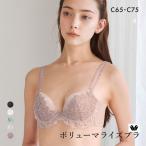 ショッピングWacoal ワコール ボリューマライズブラ プレミアム 18series BXD718 18G ブラジャー C Wacoal