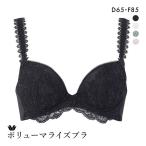 ワコール ボリューマライズブラ プレミアム 18series BXD718 18G ブラジャー DEF 大きいサイズ Wacoal 爆買