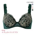 ワコール Wacoal ウイング Wing KB2062 ナチュラルアップブラ ブラジャー CD 単品