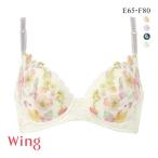 ショッピングWING ワコール ウイング KB2722 後ろ姿きれいブラ ブラジャー EF 胸ふっくら 脇すっきり 脇高 25SS Wacoal Wing 大きいサイズ