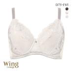 ウイング レシアージュ 小さく見せる フルカップブラジャー DEF Wing Lesiage 6000G