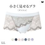 ワコールWacoal小さく見せるブ...