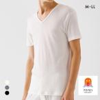 グンゼ ファイヤーアセドロン Vネック Tシャツ 薄手 メンズ 大きいサイズ GUNZE FIREアセドロン