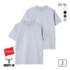 ヘインズ Hanes ビーフィー BEEFY-T 2P ショートスリーブ クルーネックTシャツ 2枚組 H5180-2 ヘビーウェイト 白T 大きいサイズ LLまで