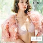 アンブラ Rosy デコルテレース モールドカップ ブラジャー 大きいサイズ ANNEBRA