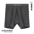  лёд брейкер icebreaker M ANATOMICA BOXERS дыра Tomica боксеры мужской передний ..