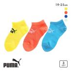 プーマ PUMA ビッグメッシュで通気性