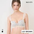ショッピング白 リリーブラウン LILY BROWN Lingerie×ANNA SUI レディメイクブラ＋ LILY BROWN 大きいサイズ