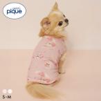  Gelato Pique CAT&amp;DOG контакт охлаждающий пляж maru сыр pomelani Anne чихуахуа рисунок Cooling тянуть over jelapikegelato pique