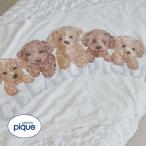 ジェラートピケ トイプードルジャガードブランケット ジェラピケ gelato pique