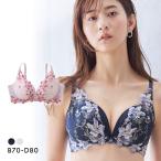 ニッセンとトリンプ共同企画 Vの谷
